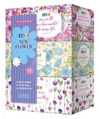 [쌍용C&B]코디 각티슈 250매*3팩