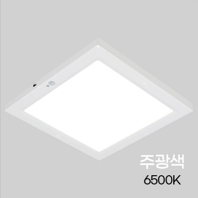 [비츠온]사각 LED 센서등 엣지 10인치 20W(주광색)