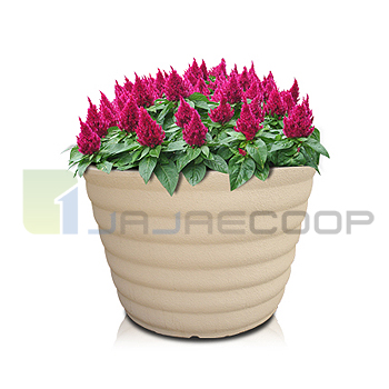 V3형 골뱅이원형