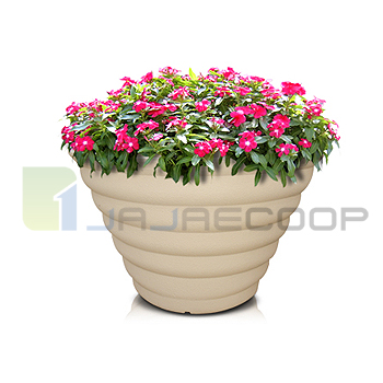 V2형 골뱅이타원형