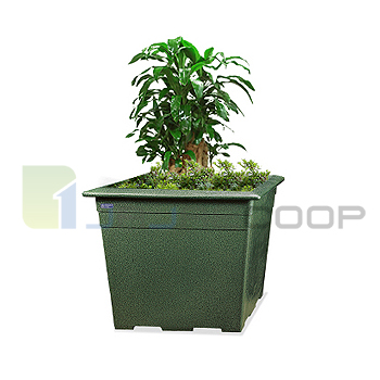 P6형 사각초화분