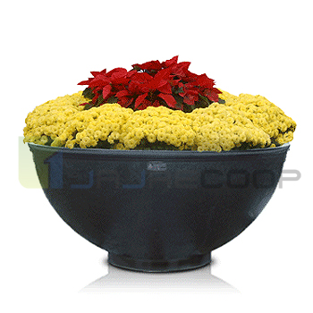 D2형 저상원형 흑색