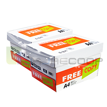 프리카피 복사지 80g (A4*2Box)