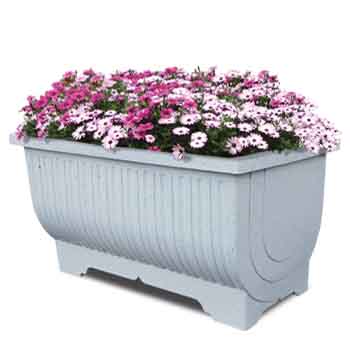 E3형 줄무늬 직사각