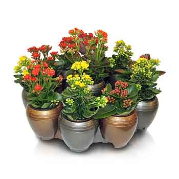 GB-B155형 항아리형 가든블럭