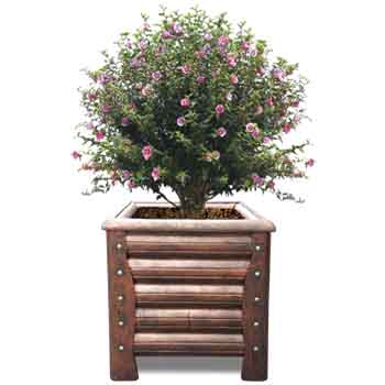 H16형 장사각화분