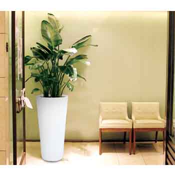 LP-A1050 조명화분